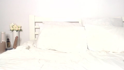 little_paradise  10-11-2022